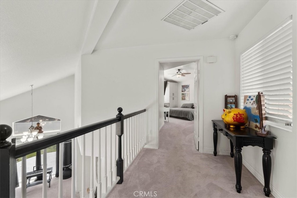 24108 Whistling Swan