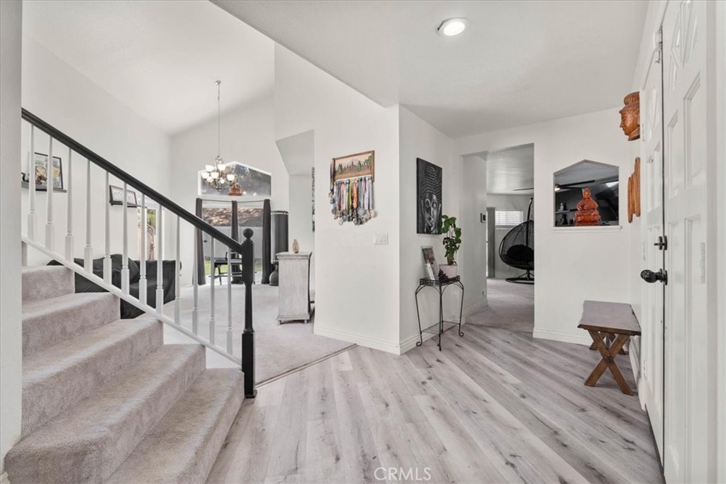24108 Whistling Swan