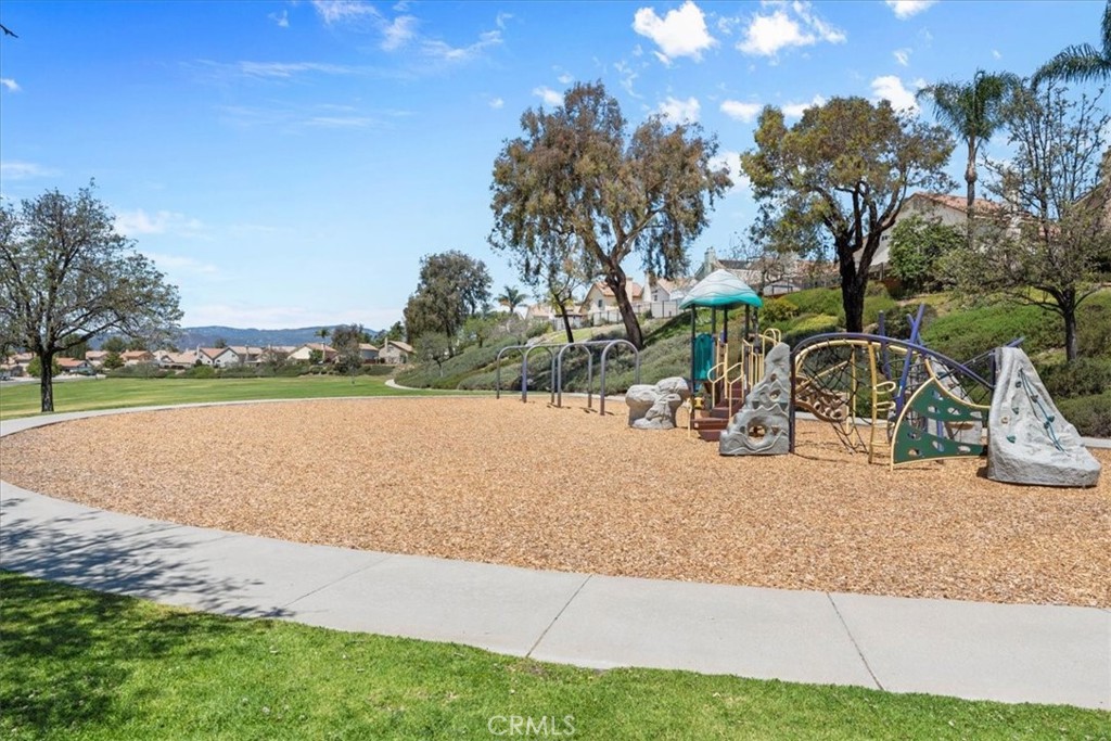 24108 Whistling Swan