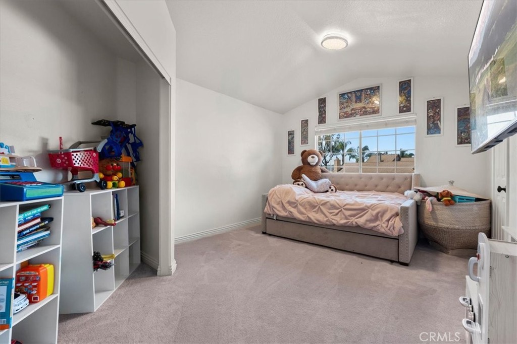 24108 Whistling Swan