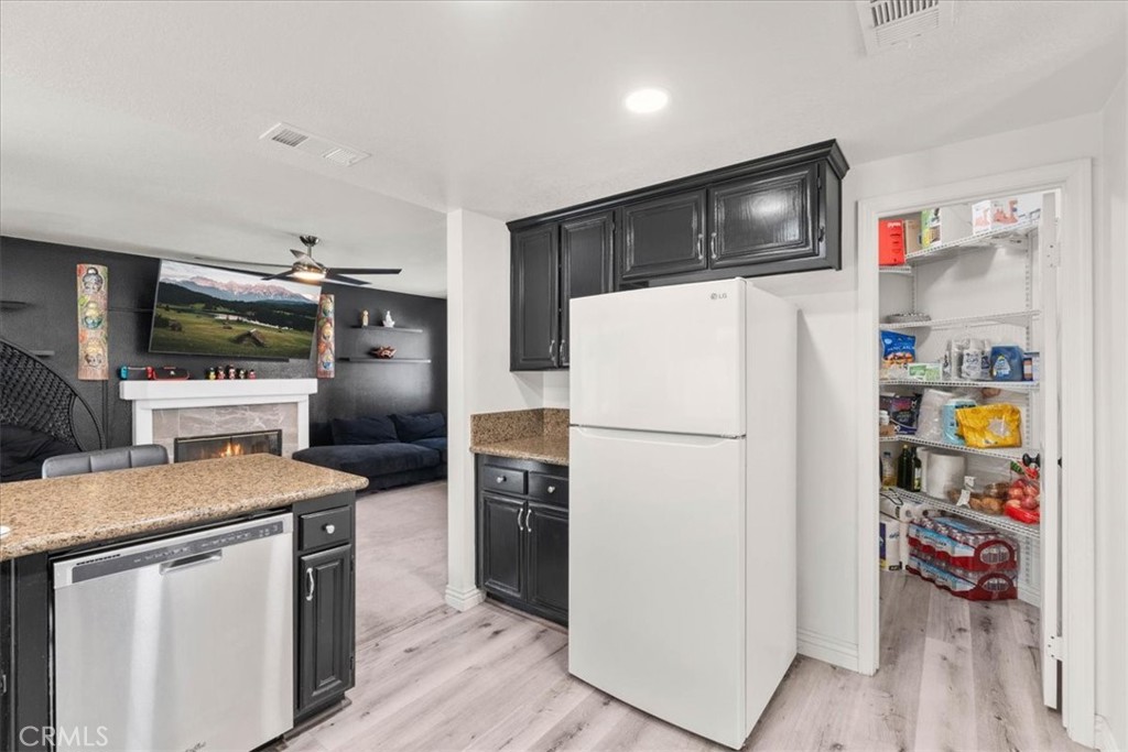 24108 Whistling Swan