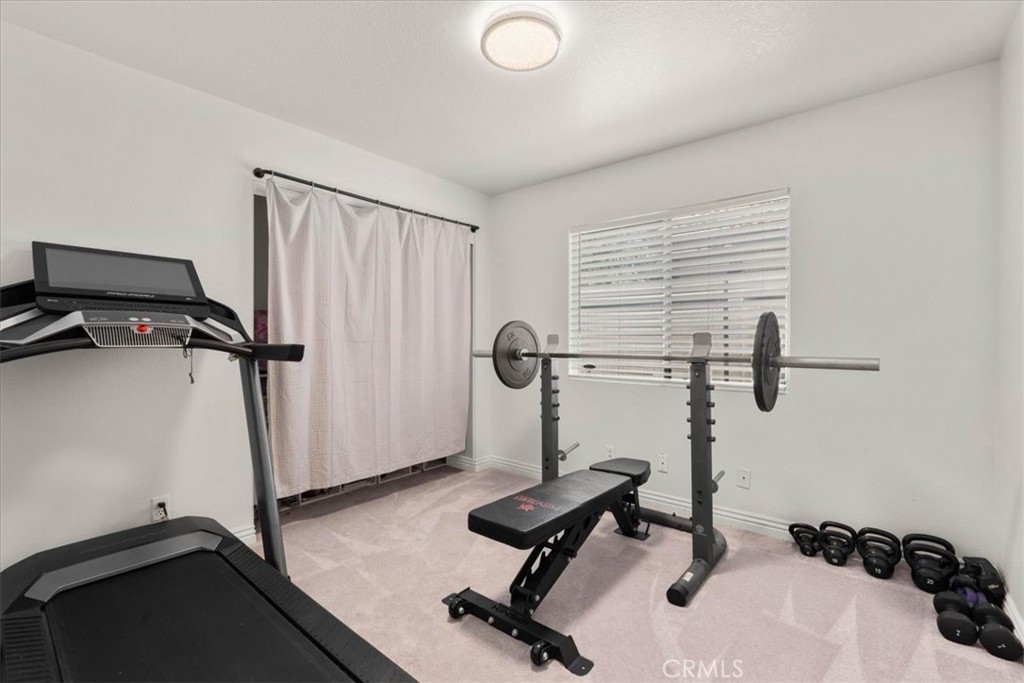 24108 Whistling Swan
