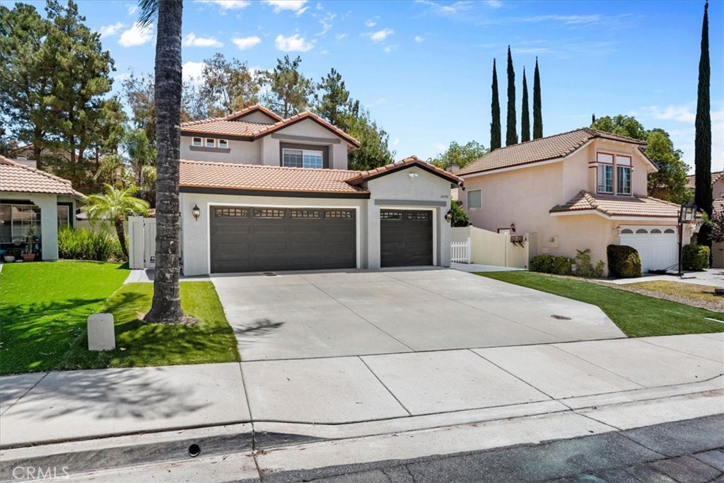 24108 Whistling Swan