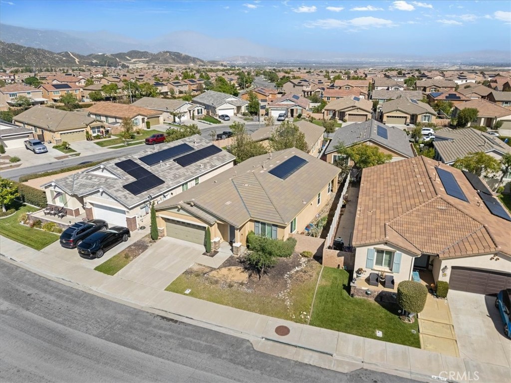 18037 Milkweed Lane