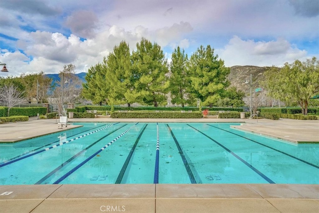 18037 Milkweed Lane
