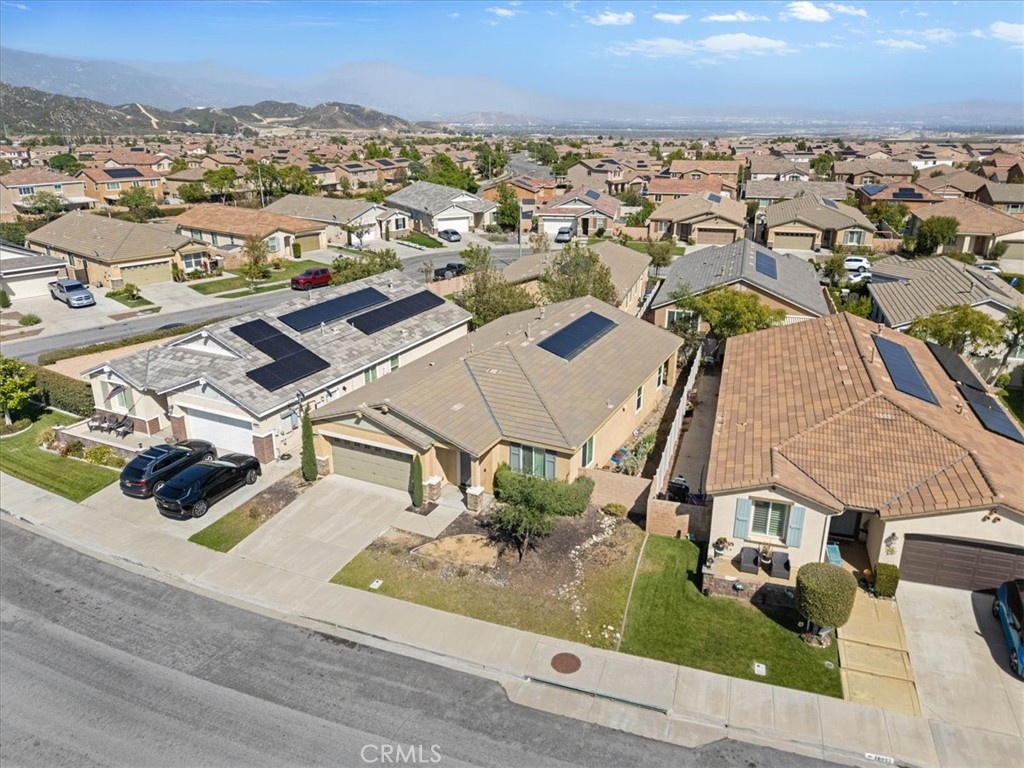 18037 Milkweed Lane