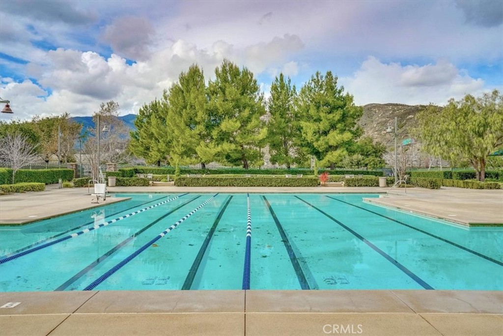 18037 Milkweed Lane