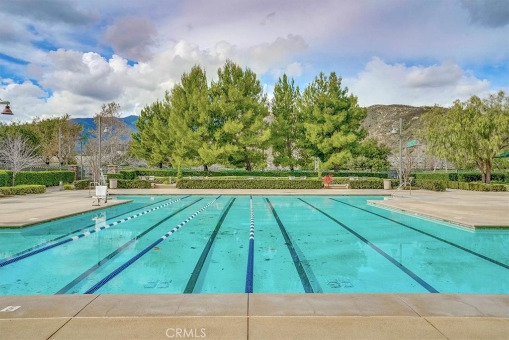 18037 Milkweed Lane
