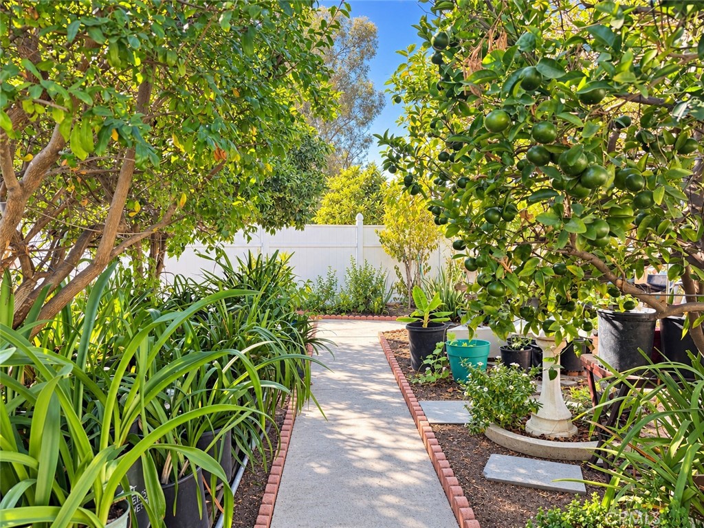 104 Meredith Street