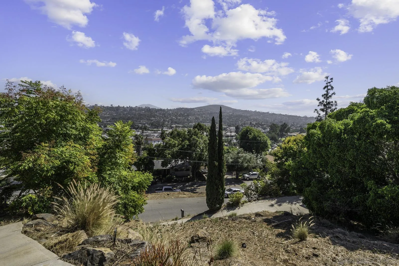 3410 Saddle Drive