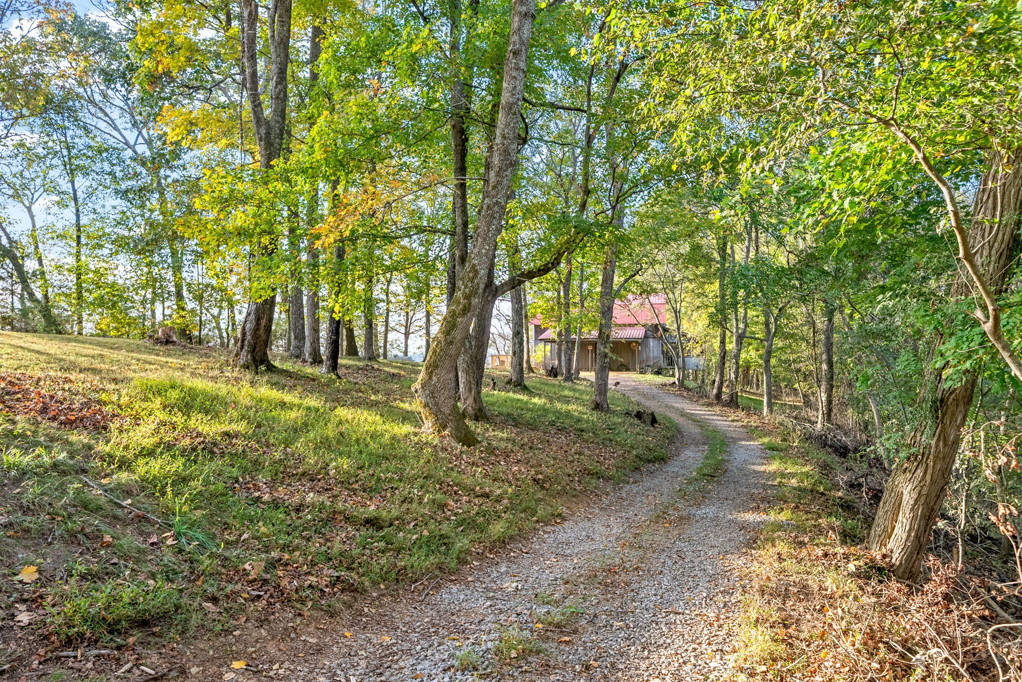 3353 Jarrell Ridge Rd