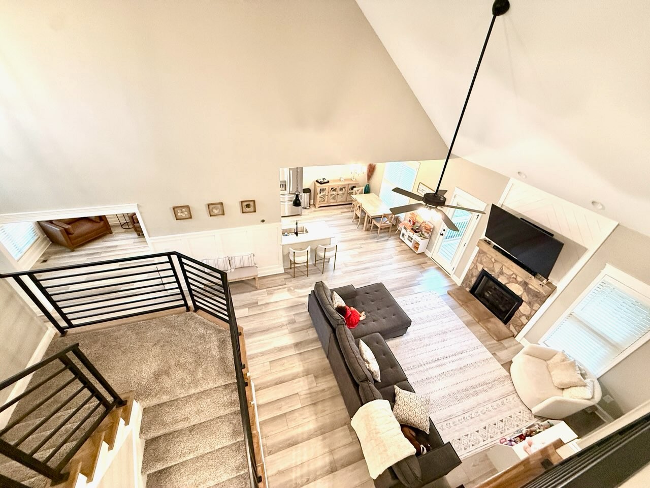 446 Spiderwort Dr