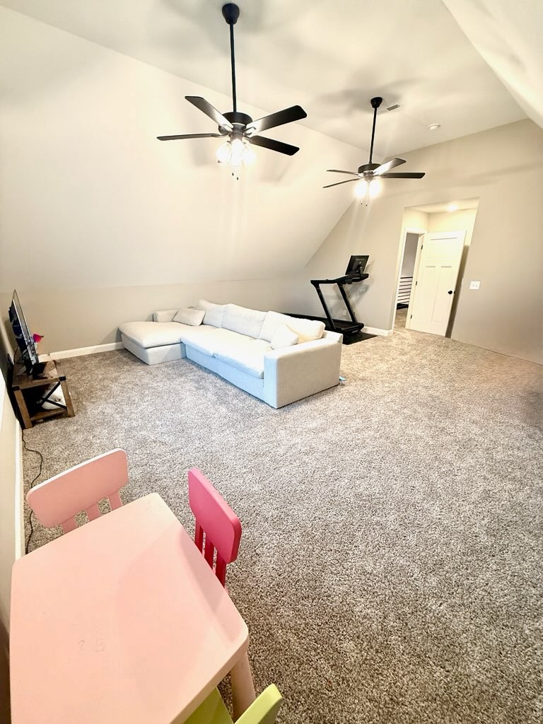 446 Spiderwort Dr