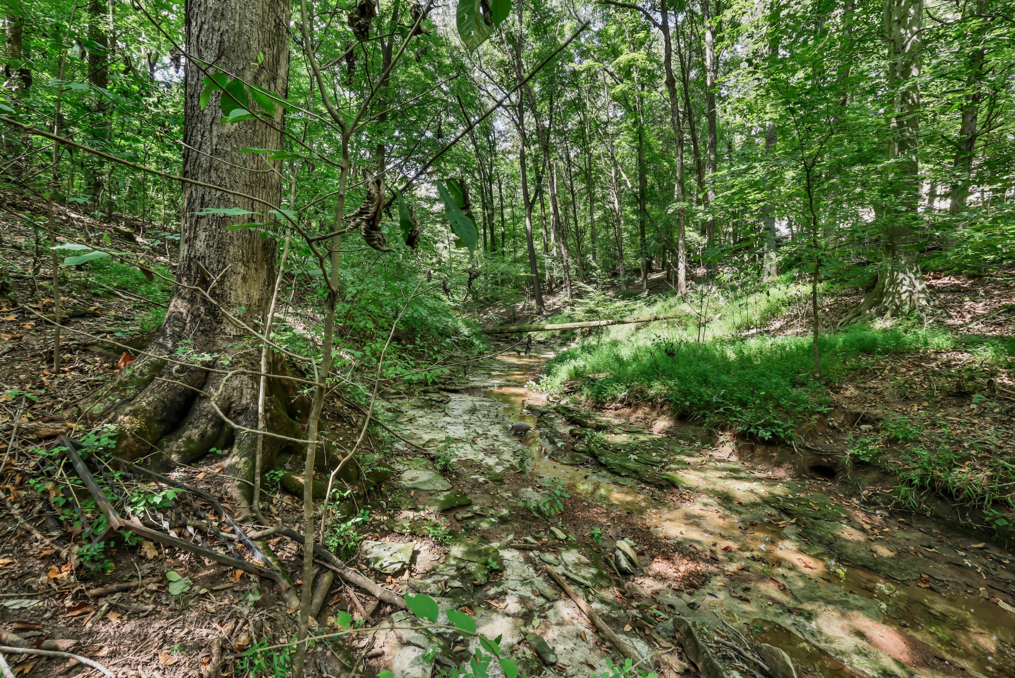 224 Norma Ct