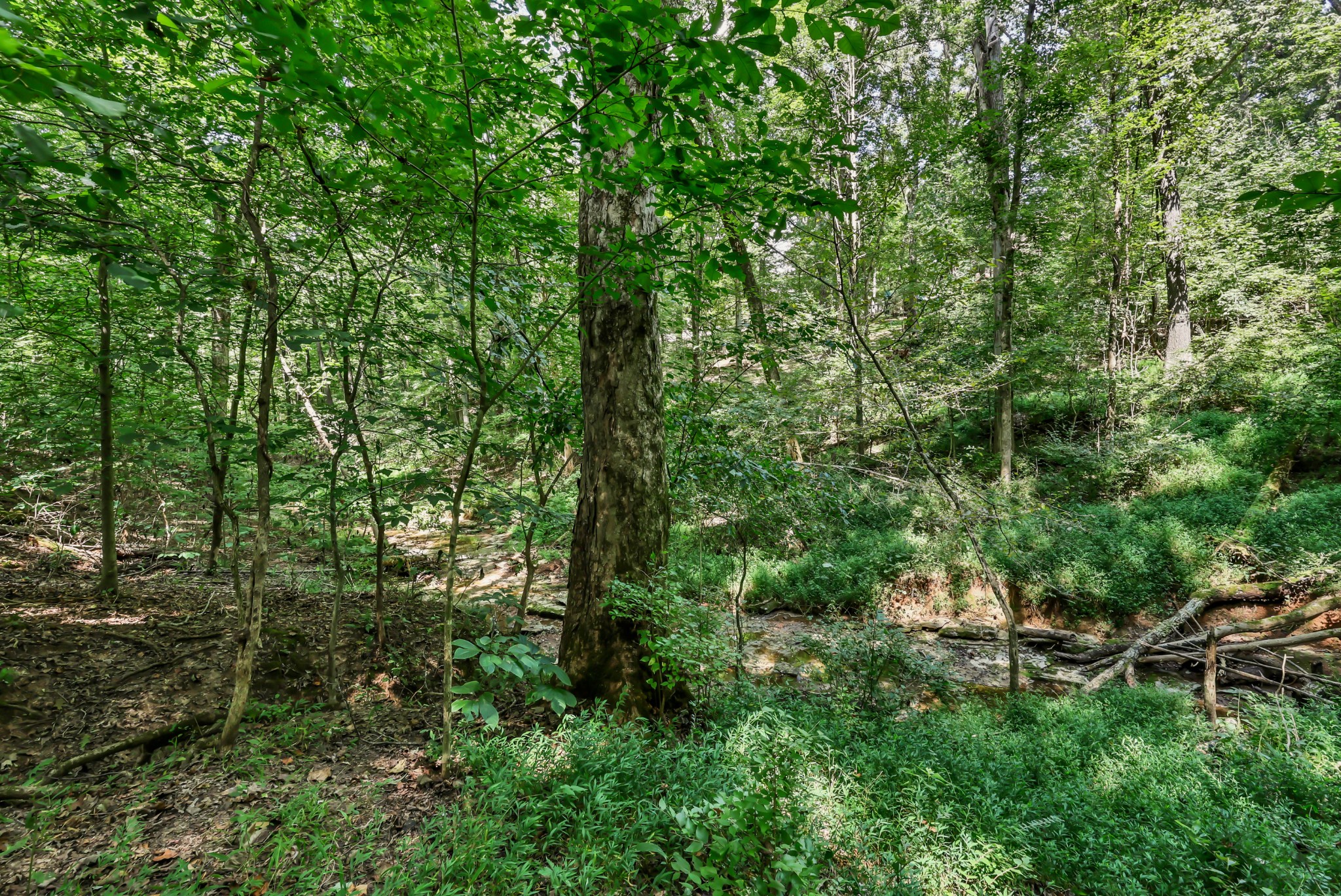 224 Norma Ct