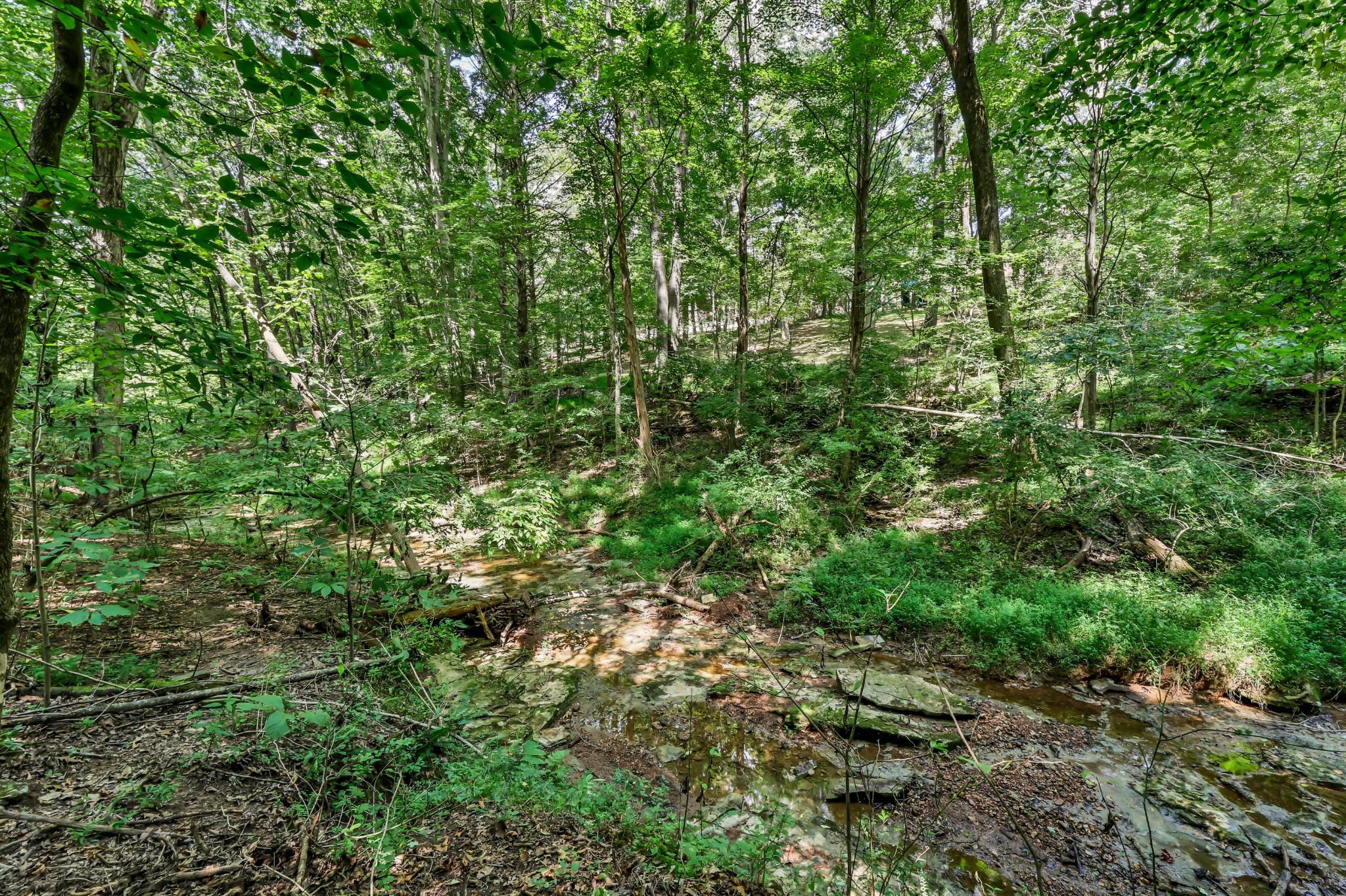224 Norma Ct