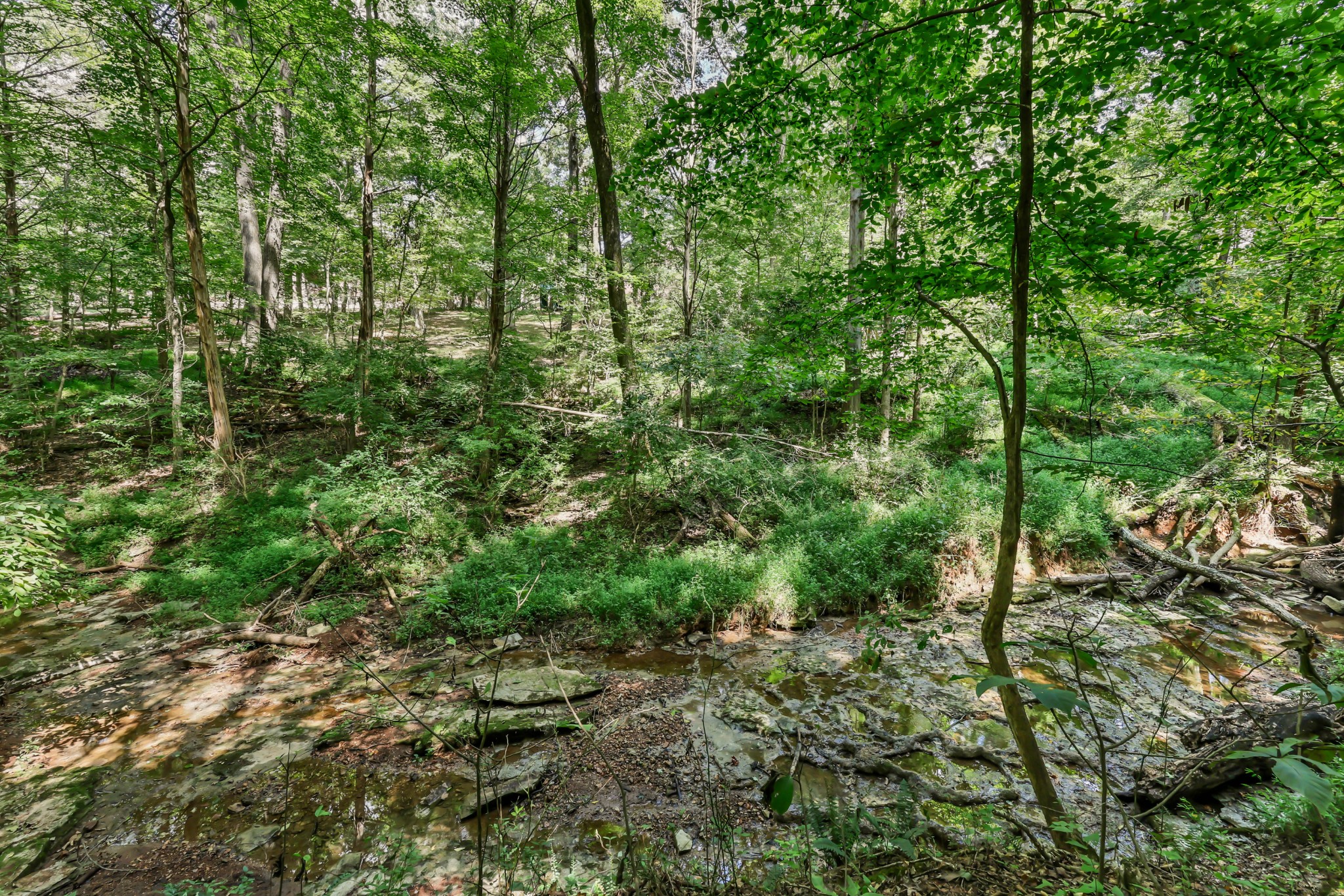 224 Norma Ct