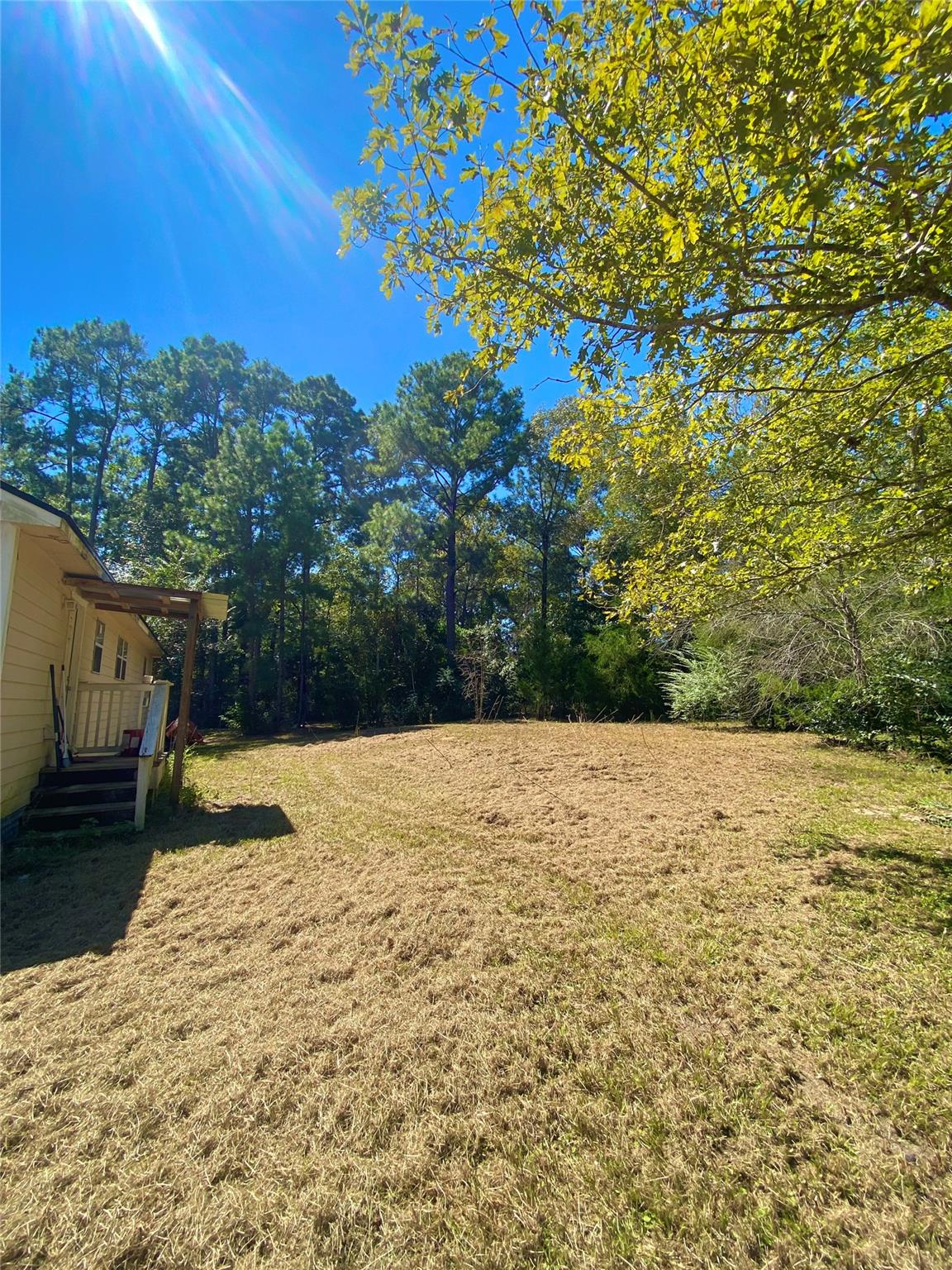 193 Bonnie Blue Lane Lane