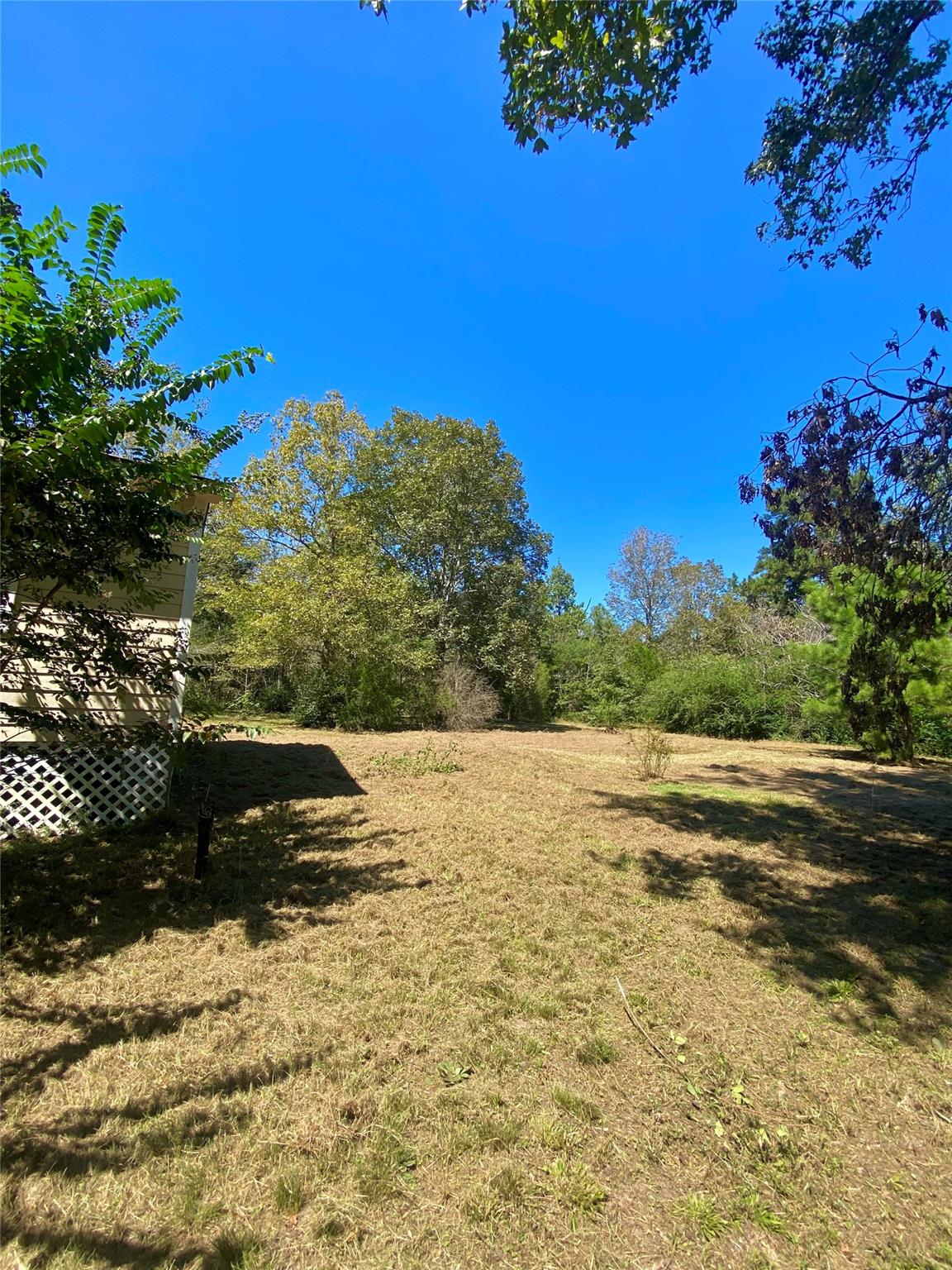 193 Bonnie Blue Lane Lane