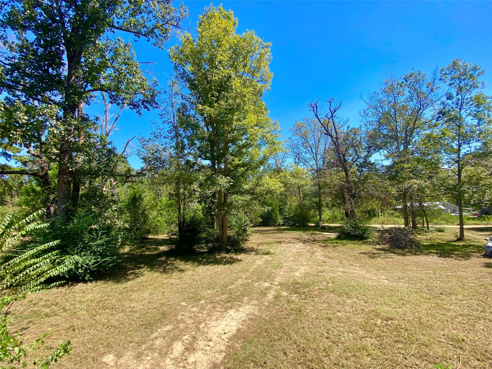 193 Bonnie Blue Lane Lane