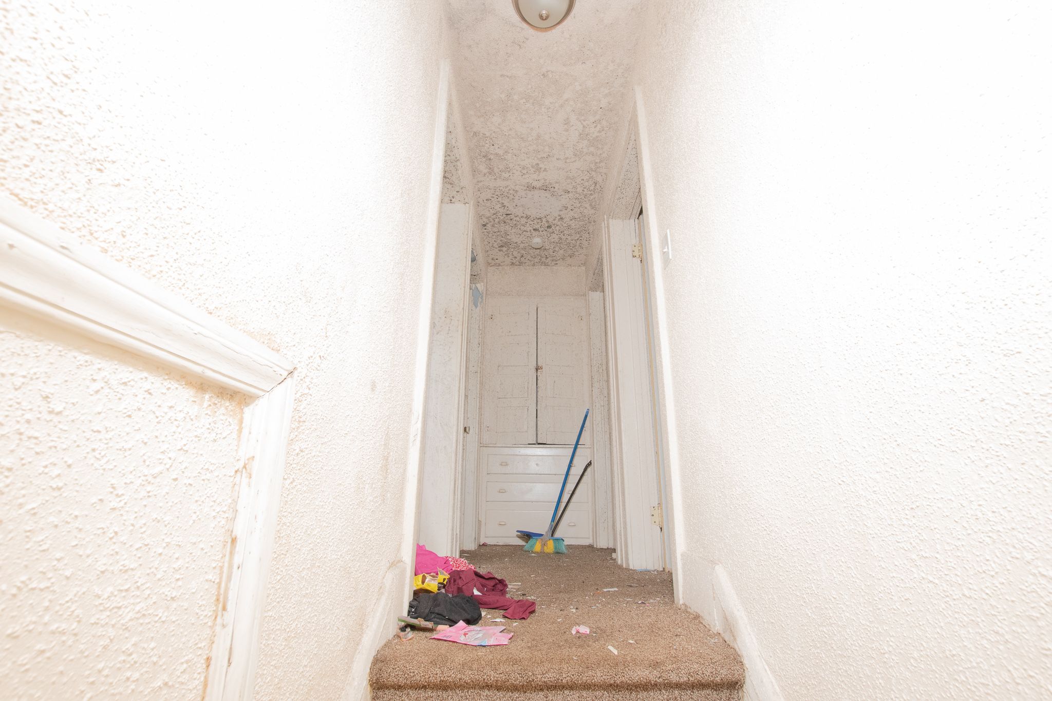 2503 STURTEVANT Street