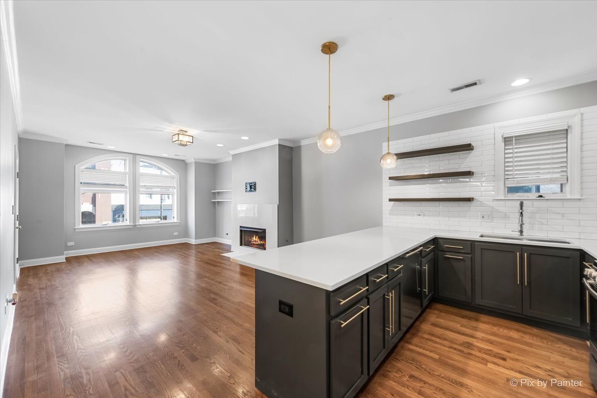 2846 N Halsted Street Unit: 2S