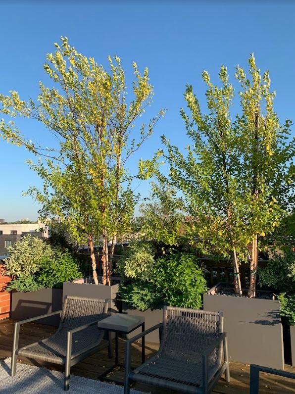 4007 N Paulina Street Unit: 4N