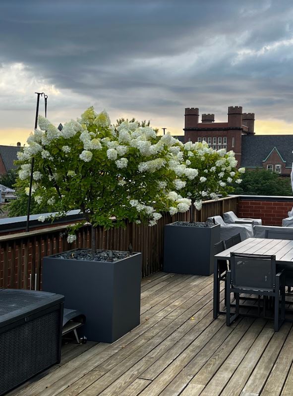 4007 N Paulina Street Unit: 4N