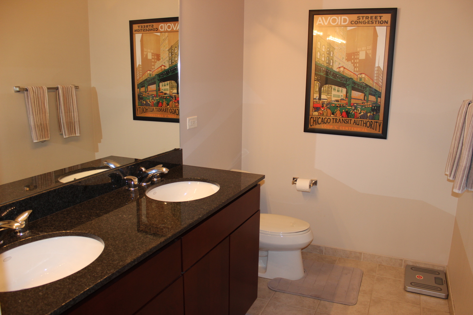 700 N Larrabee Street Unit: 1502