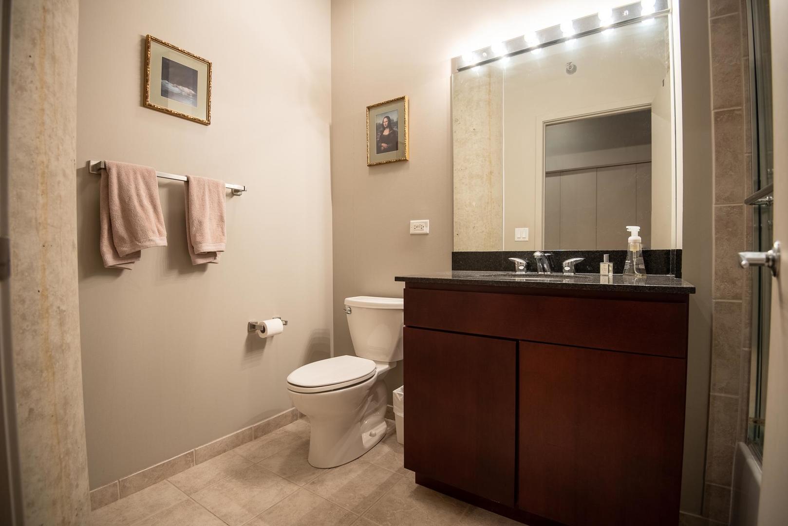 700 N Larrabee Street Unit: 1502