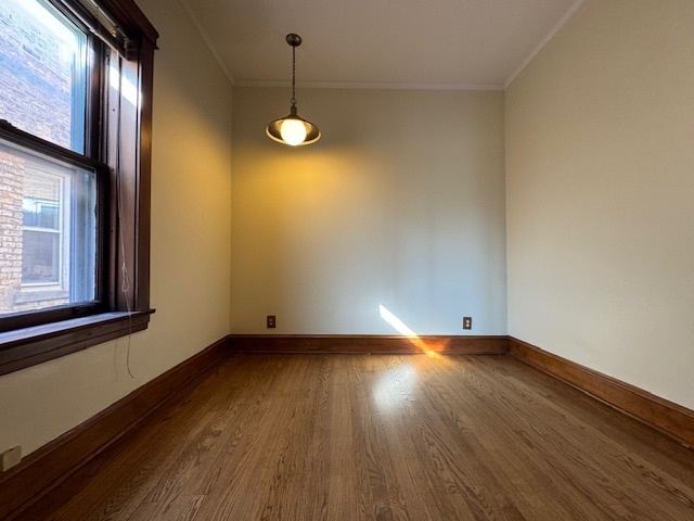 1442 W Jarvis Avenue Unit: 3B