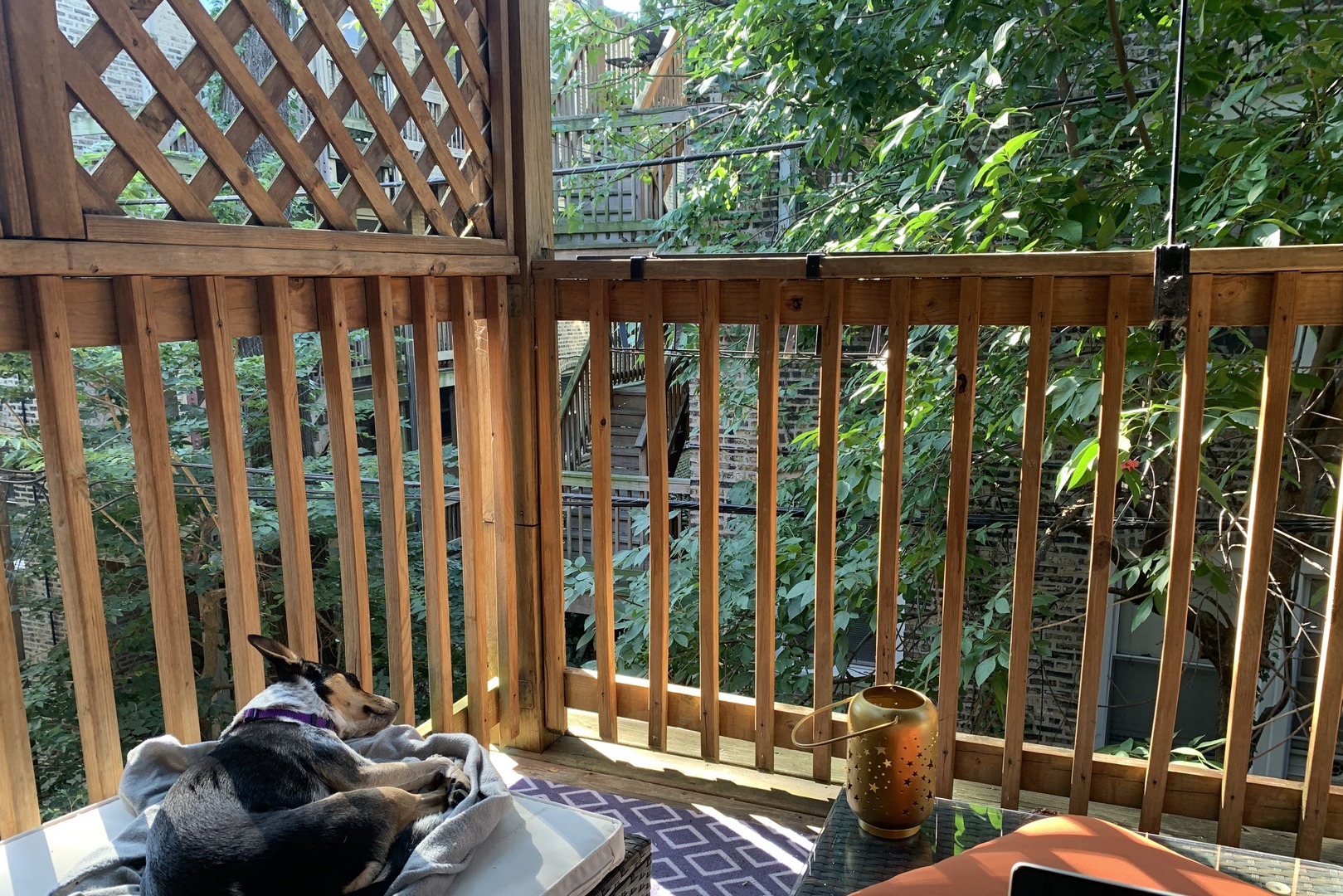1463 W Winnemac Avenue Unit: 2E
