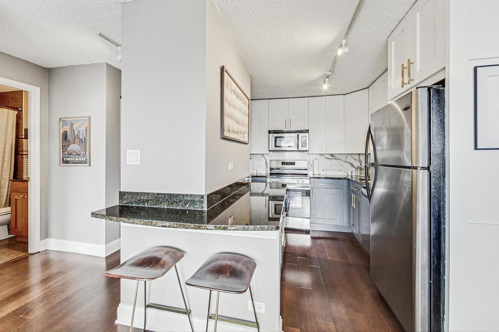 450 W BRIAR Place Unit: 13D