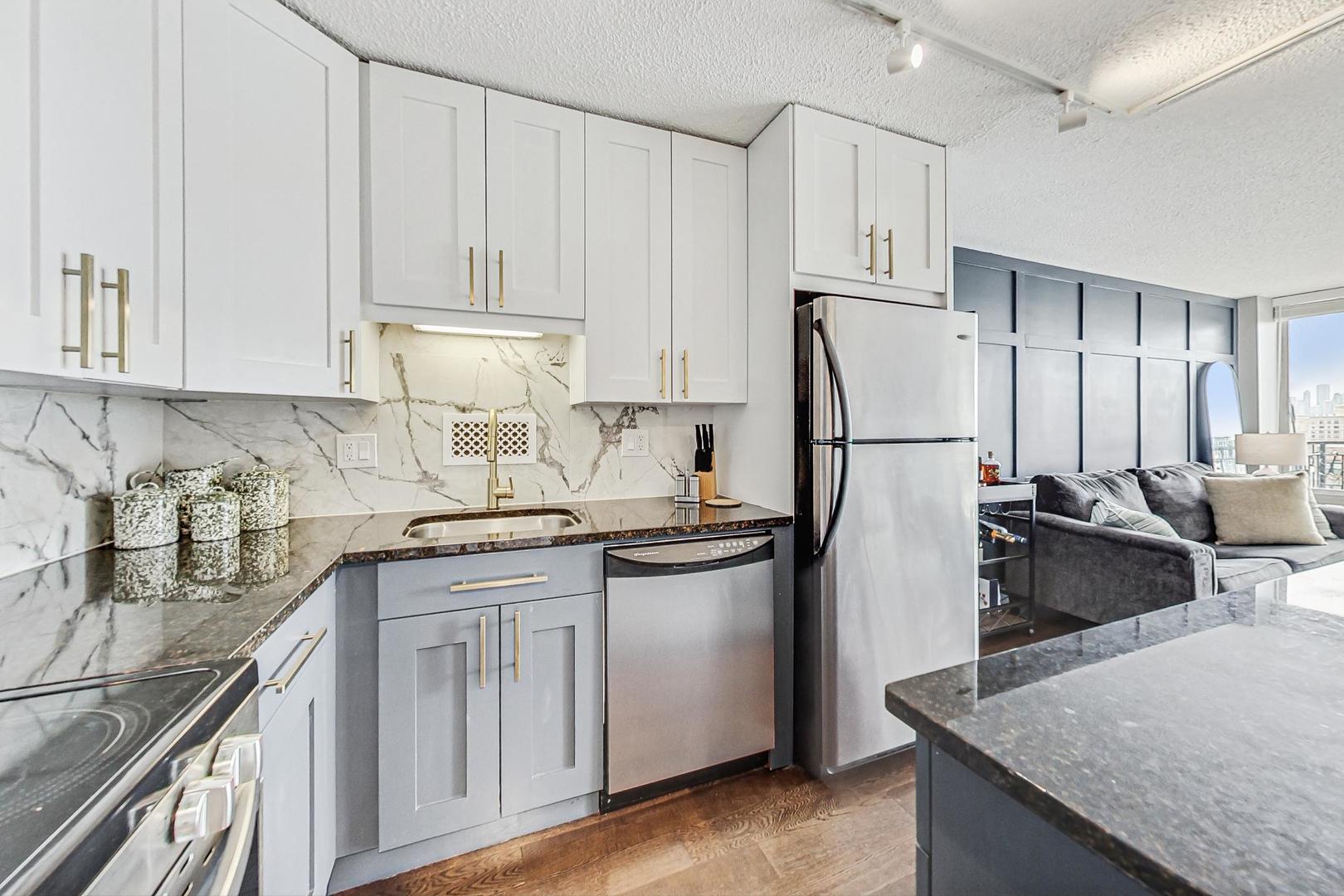 450 W BRIAR Place Unit: 13D