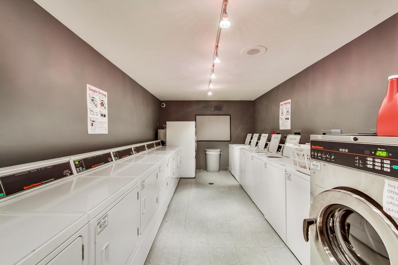 450 W BRIAR Place Unit: 13D