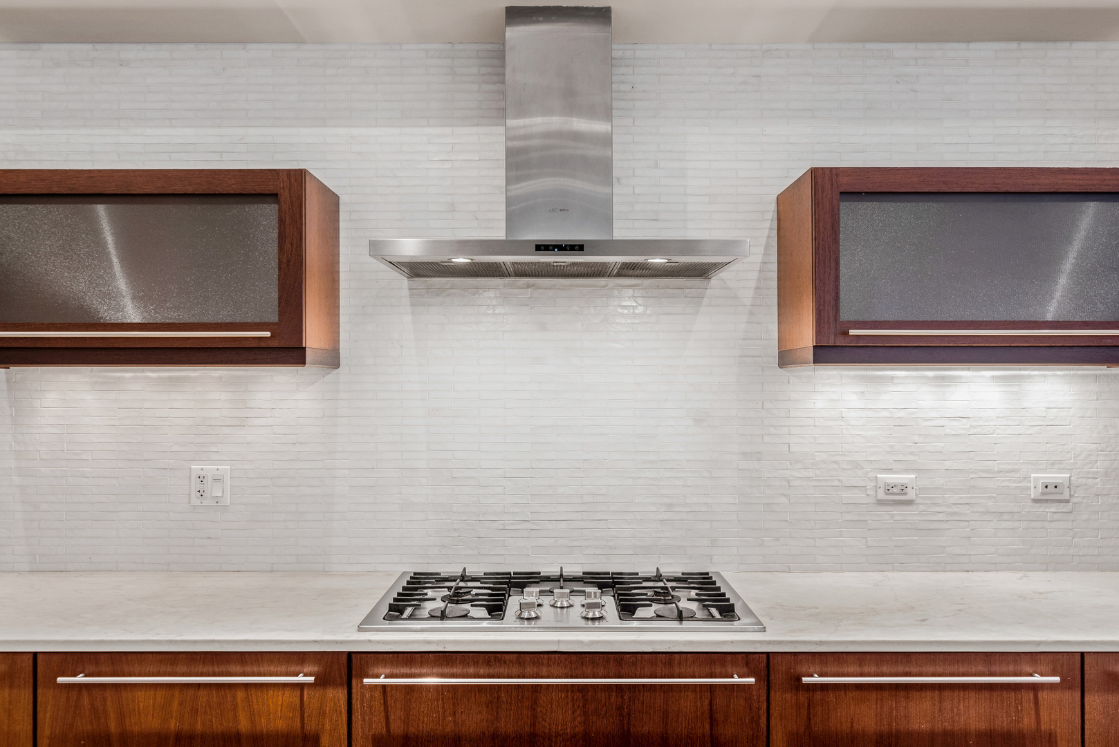 1028 W WOLFRAM Street Unit: 1F