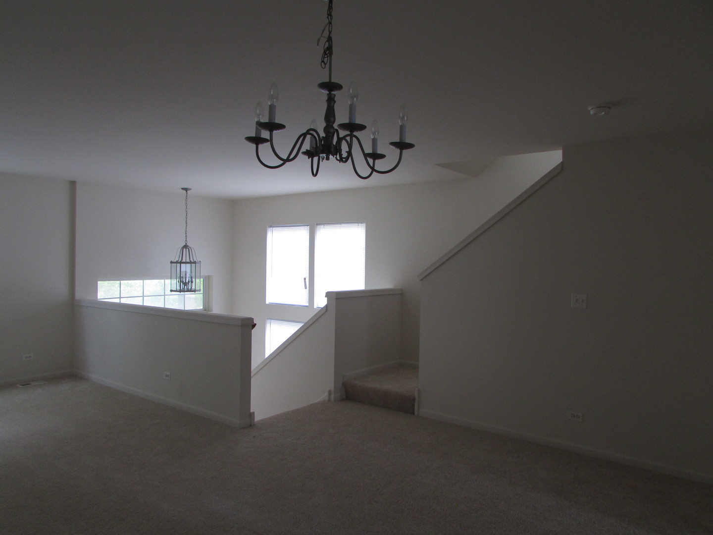 493 Conservatory Lane