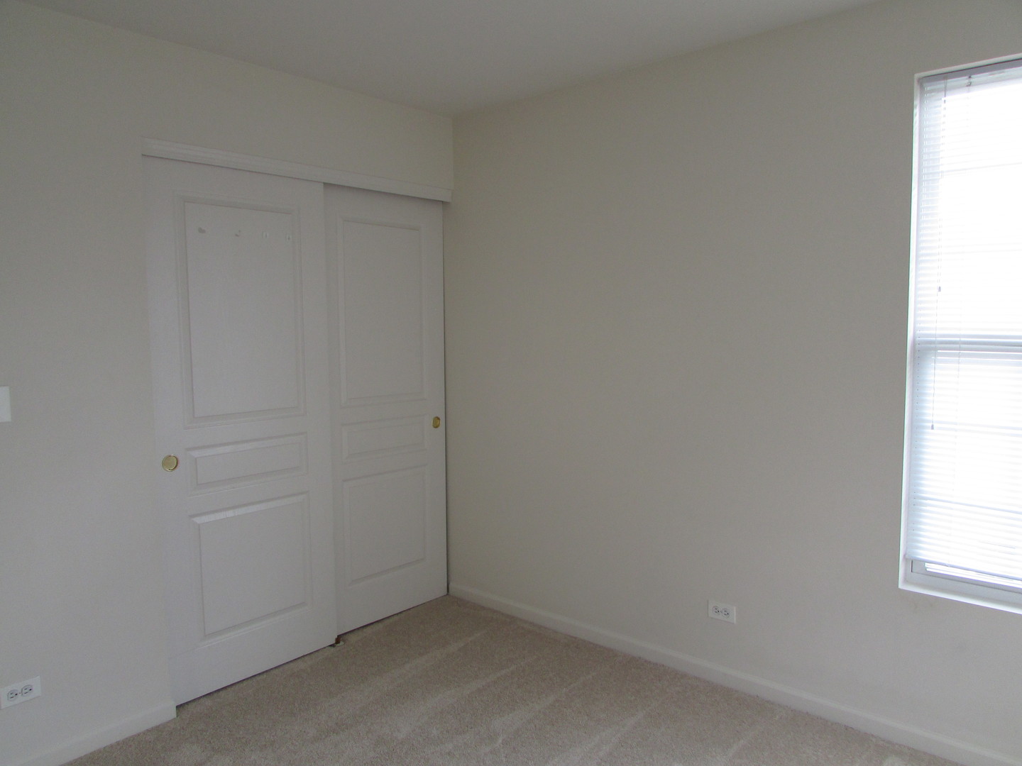 493 Conservatory Lane