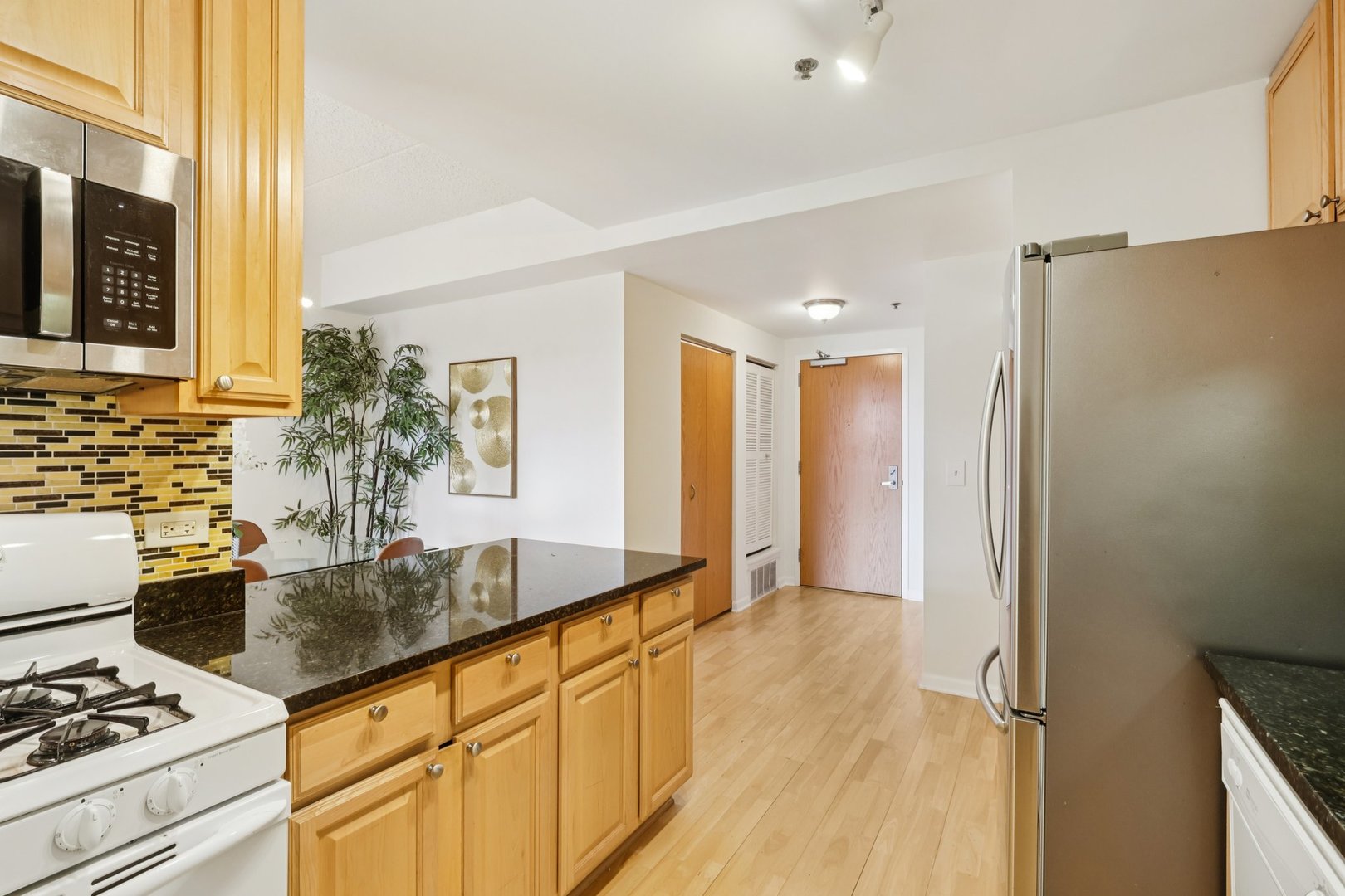 1250 S Indiana Avenue Unit: 1011