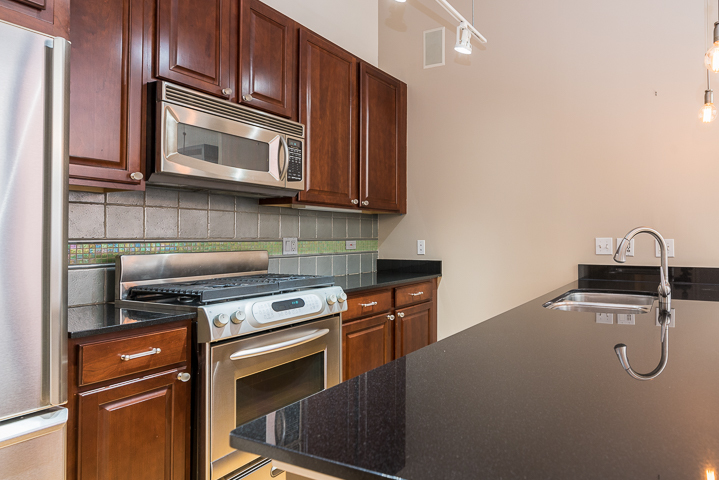 1735 N Paulina Street Unit: 206