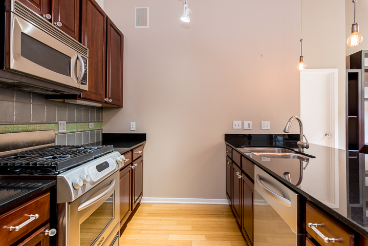 1735 N Paulina Street Unit: 206
