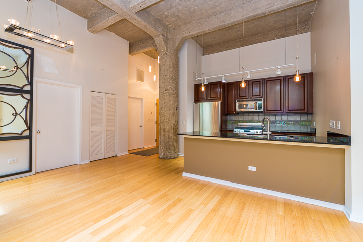 1735 N Paulina Street Unit: 206