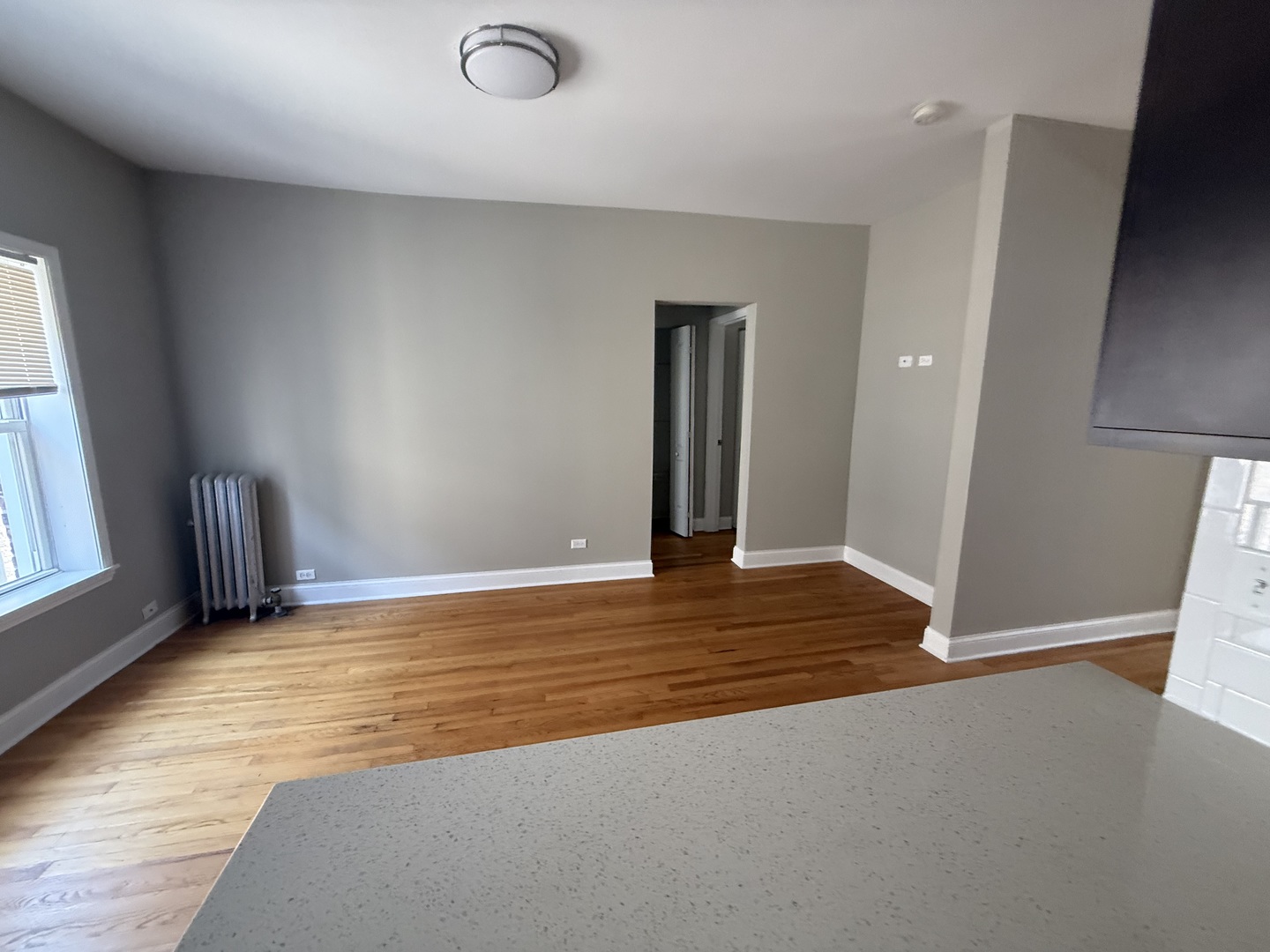 836 E 53rd Street Unit: 3N