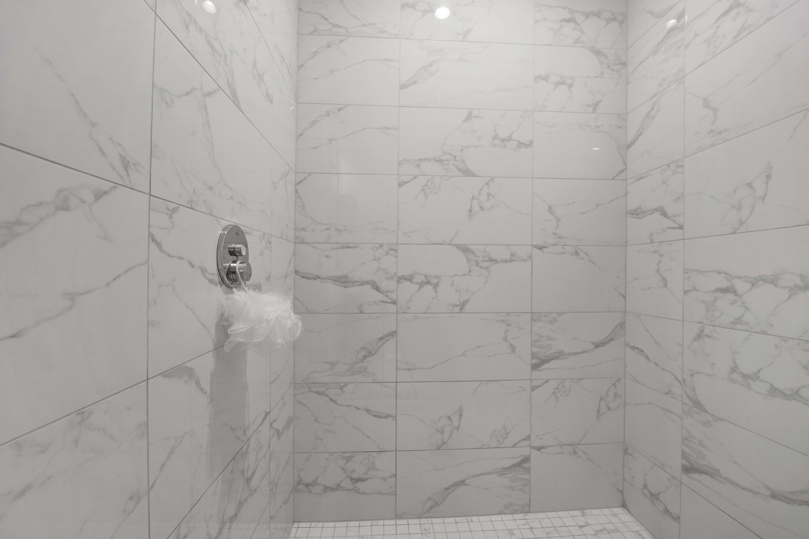 1701 W Webster Avenue Unit: 205