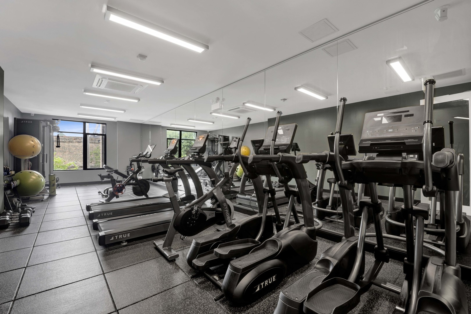 1701 W Webster Avenue Unit: 205
