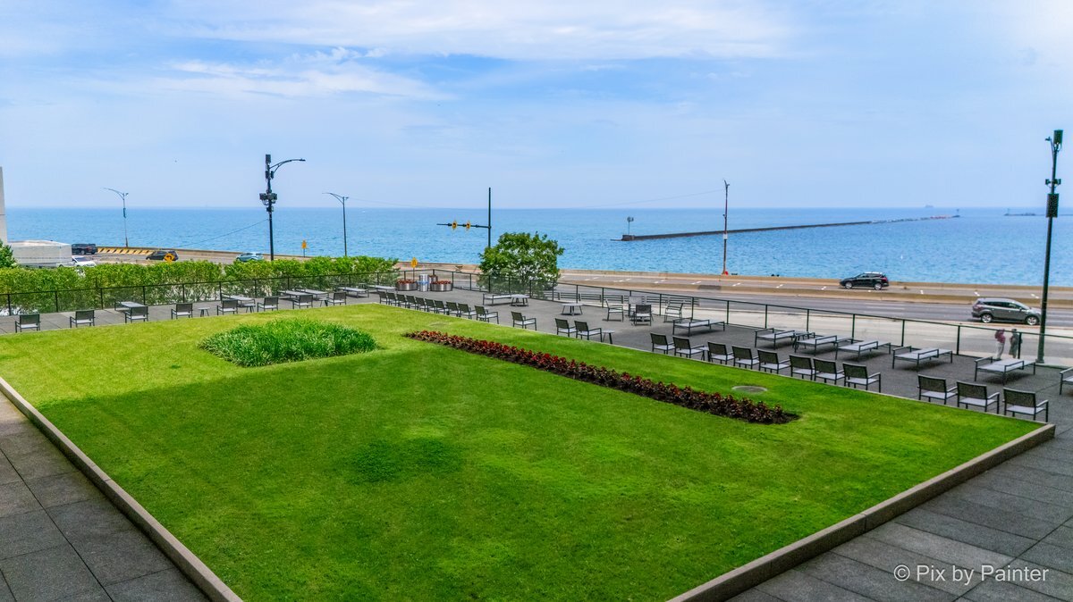 910 N LAKE SHORE Drive Unit: 1316