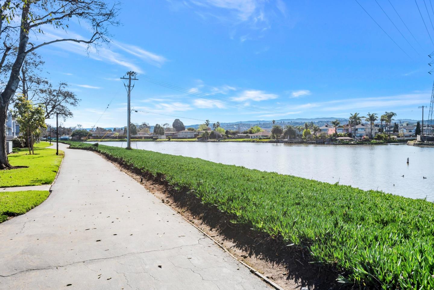 1538 Vista Del Sol 7