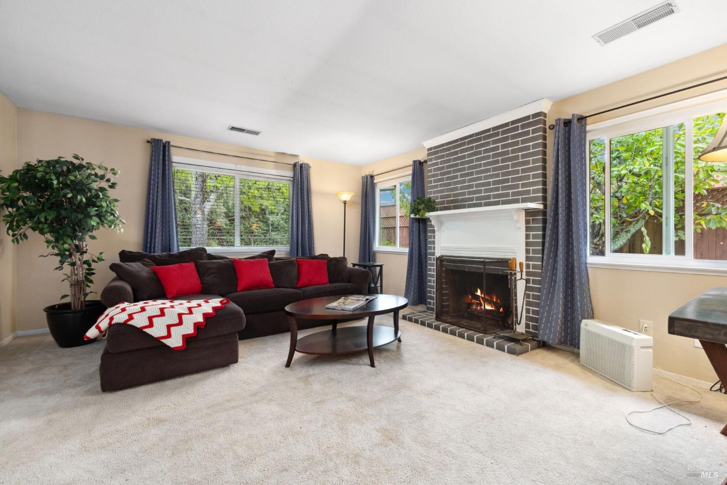 207 Mountain Vista Lane