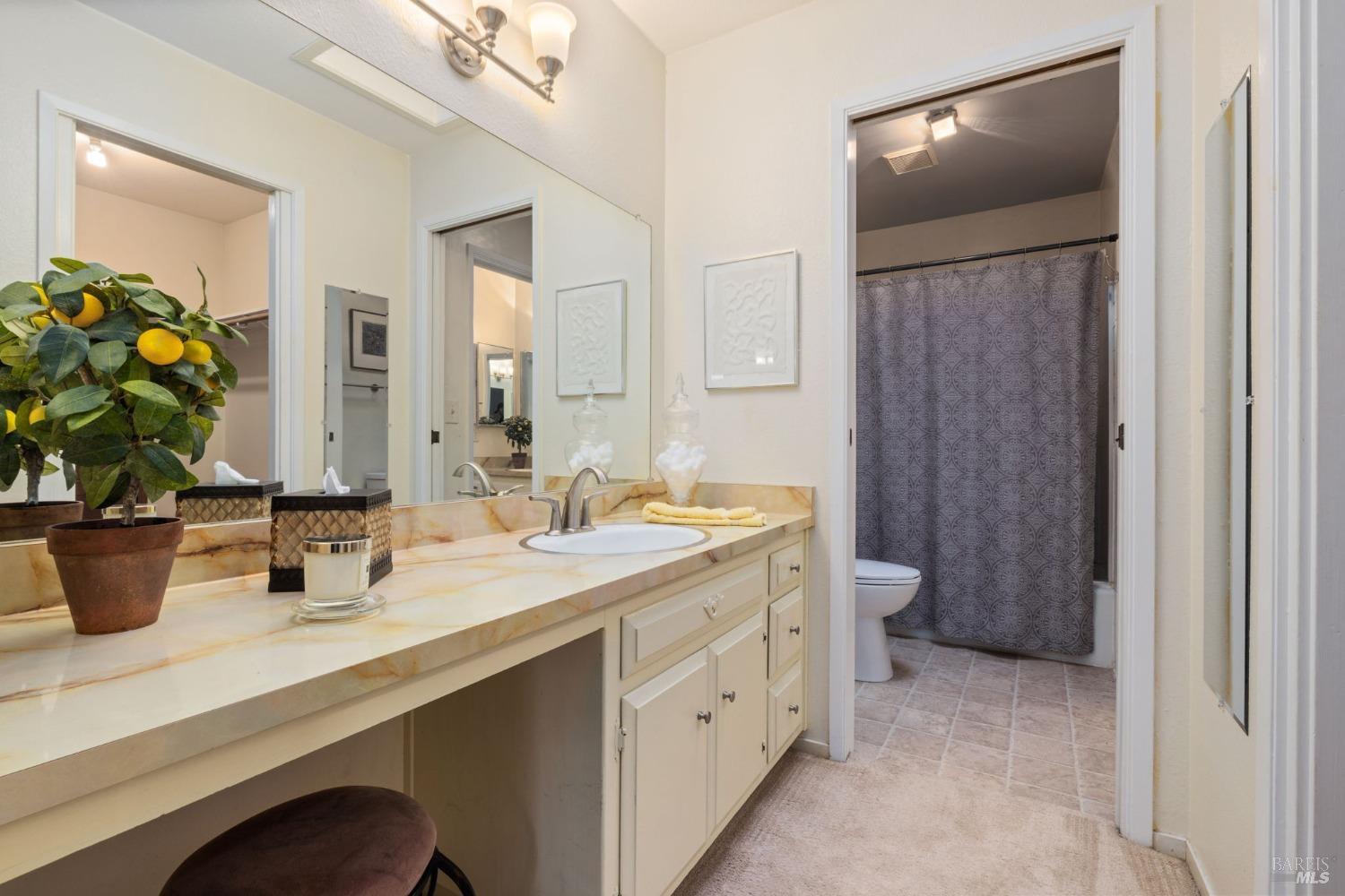 207 Mountain Vista Lane