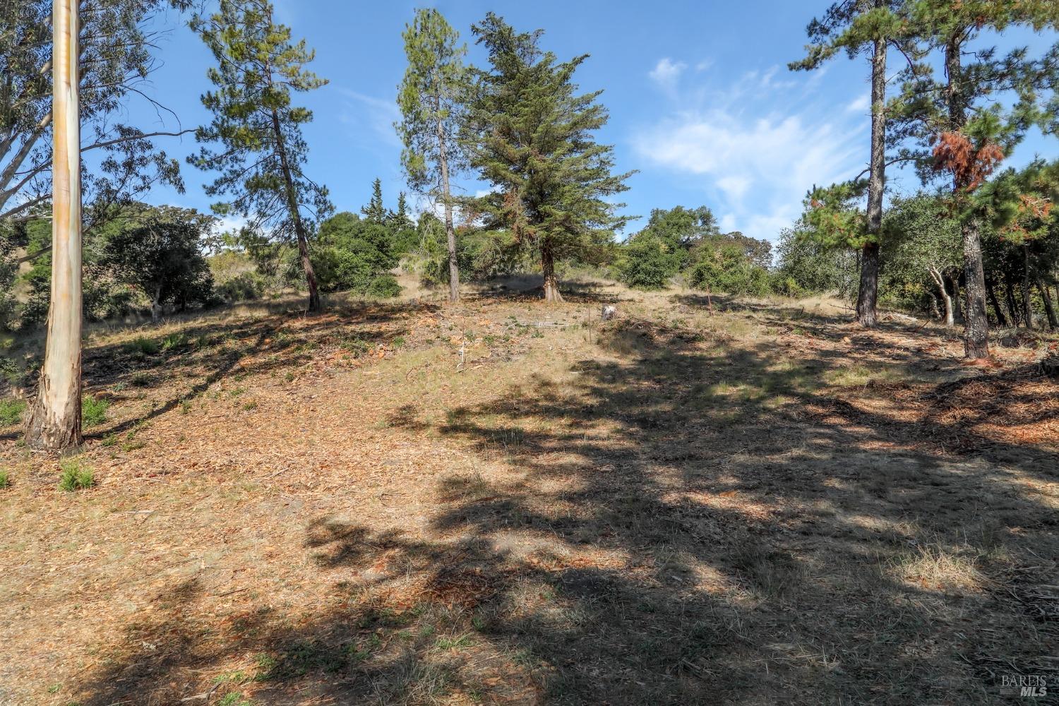 5047 Sonoma Mountain Road